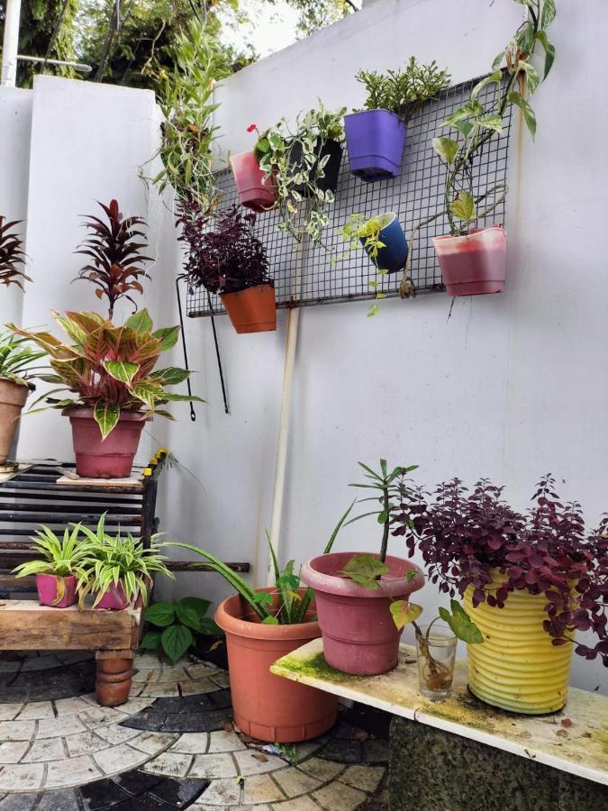 Joseys Homestay Kochi 外观 照片